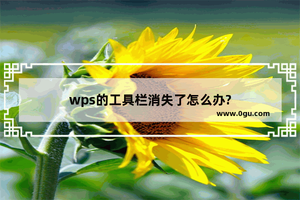 wps的工具栏消失了怎么办?