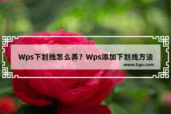 Wps下划线怎么弄？Wps添加下划线方法教学