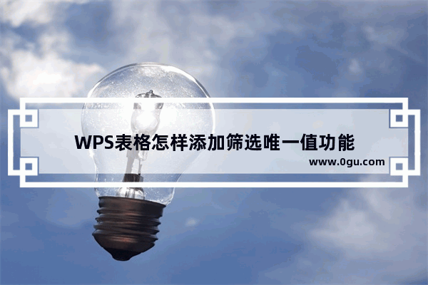 WPS表格怎样添加筛选唯一值功能