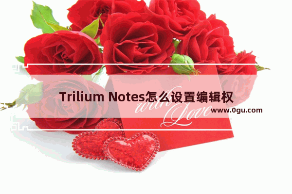 Trilium Notes怎么设置编辑权限 Trilium Notes设置编辑权限的方法