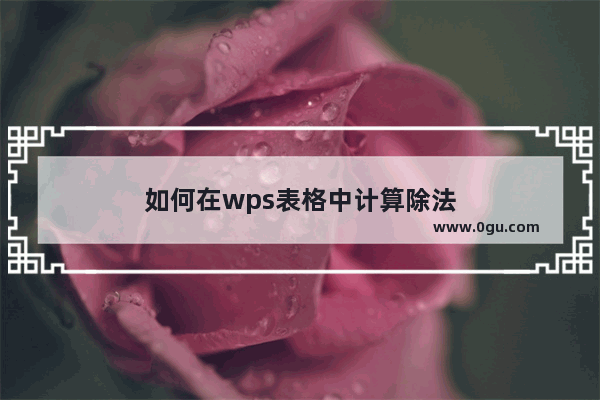 如何在wps表格中计算除法