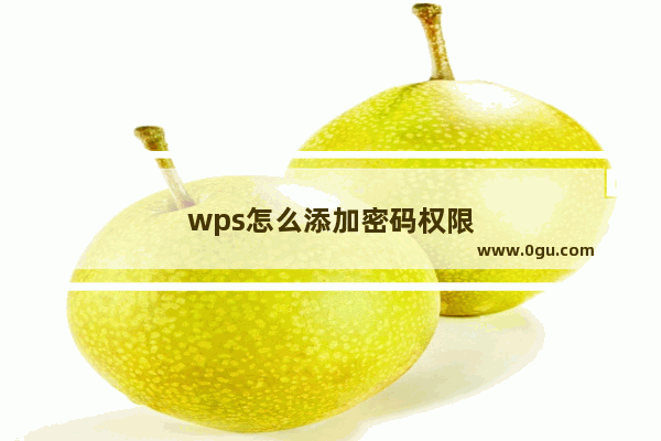 wps怎么添加密码权限