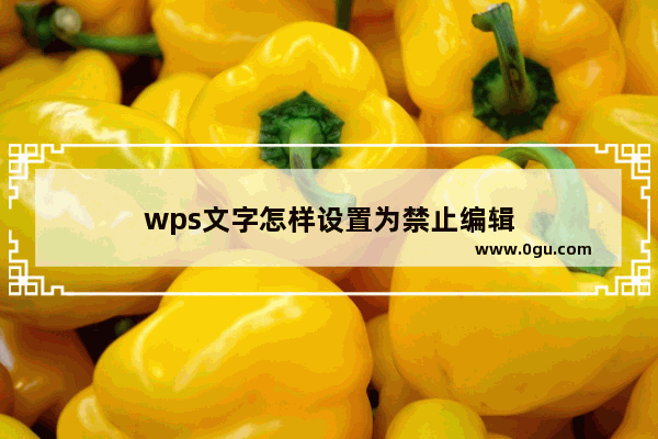 wps文字怎样设置为禁止编辑