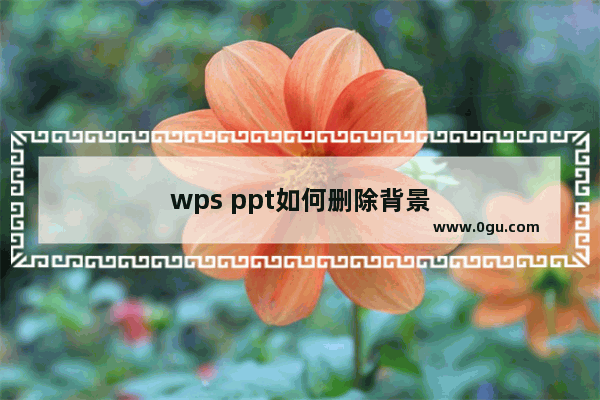 wps ppt如何删除背景