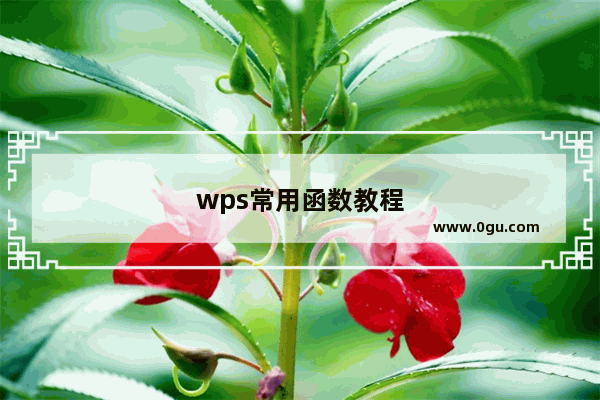 wps常用函数教程