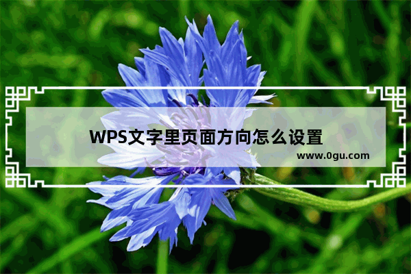 WPS文字里页面方向怎么设置