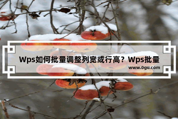 Wps如何批量调整列宽或行高？Wps批量调整列宽或行高的方法