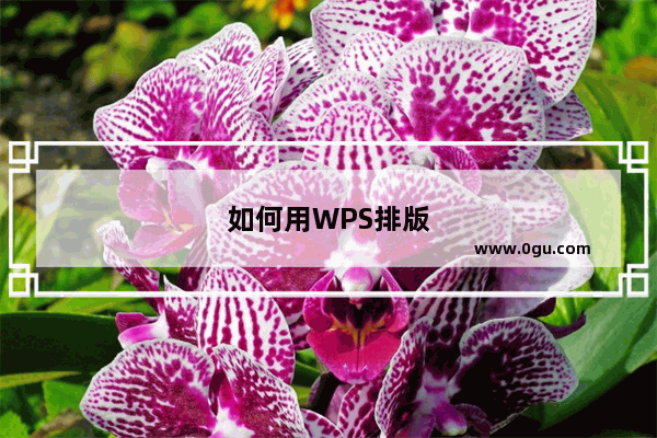 如何用WPS排版