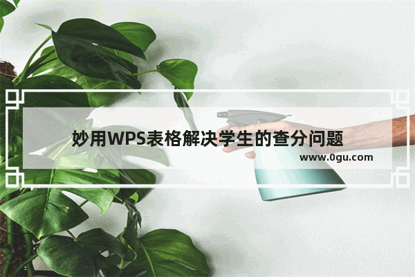 妙用WPS表格解决学生的查分问题