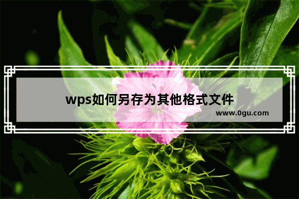 wps如何另存为其他格式文件