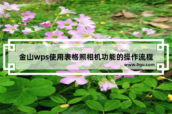 金山wps使用表格照相机功能的操作流程