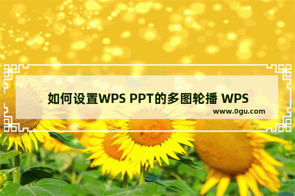 如何设置WPS PPT的多图轮播 WPS PPT设置图片轮播的方法