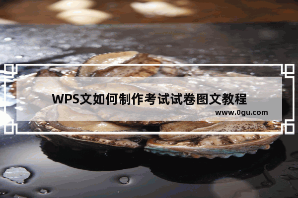 WPS文如何制作考试试卷图文教程