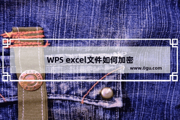 WPS excel文件如何加密