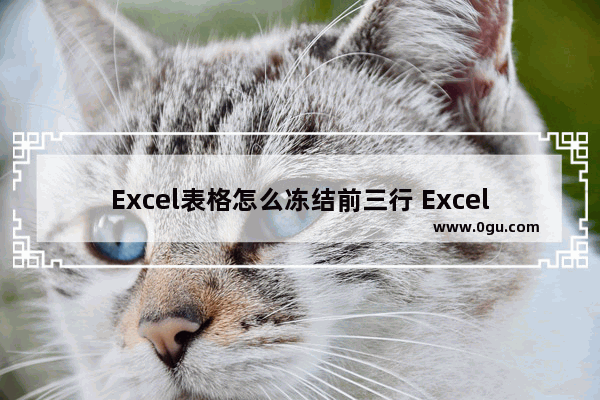 Excel表格怎么冻结前三行 Excel表格冻结前三行的方法