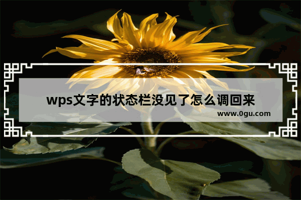 wps文字的状态栏没见了怎么调回来