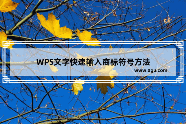 WPS文字快速输入商标符号方法