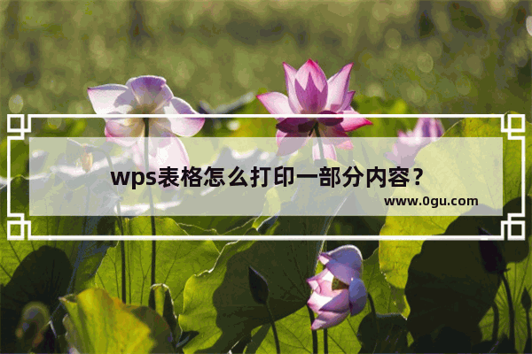 wps表格怎么打印一部分内容？