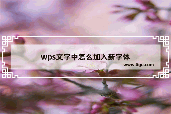 wps文字中怎么加入新字体