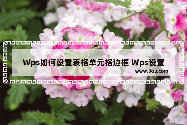 Wps如何设置表格单元格边框 Wps设置表格单元格边框的方法