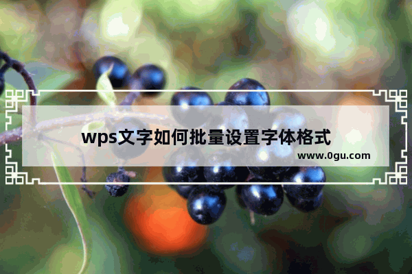 wps文字如何批量设置字体格式