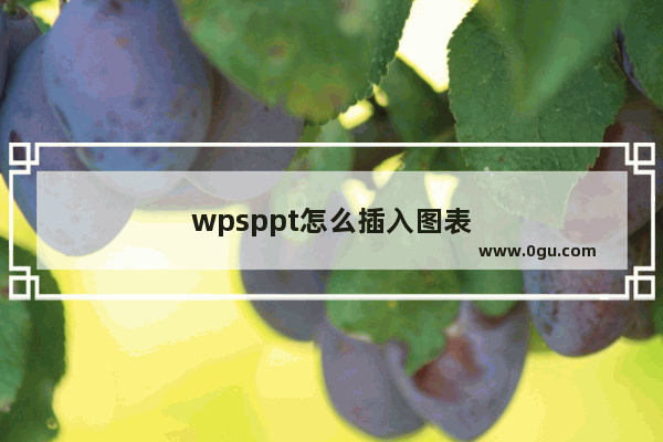 wpsppt怎么插入图表