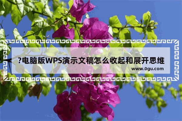 ?电脑版WPS演示文稿怎么收起和展开思维导图