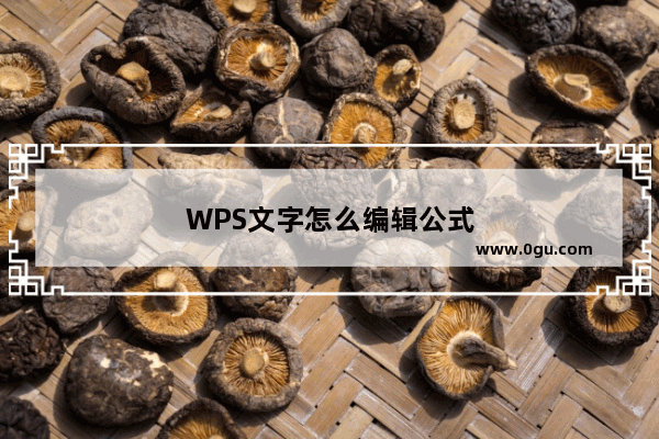 WPS文字怎么编辑公式