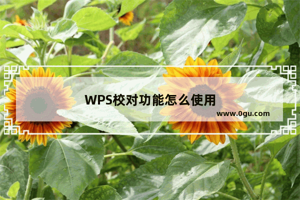 WPS校对功能怎么使用