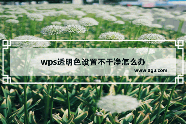 wps透明色设置不干净怎么办