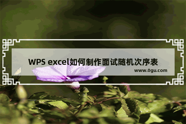 WPS excel如何制作面试随机次序表