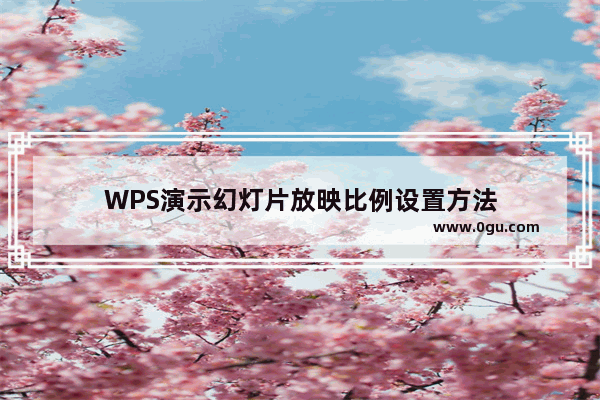 WPS演示幻灯片放映比例设置方法