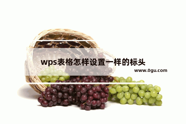 wps表格怎样设置一样的标头