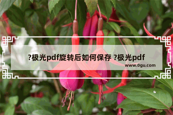 ?极光pdf旋转后如何保存 ?极光pdf改变页面方向并保存下来的方法