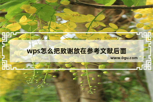 wps怎么把致谢放在参考文献后面