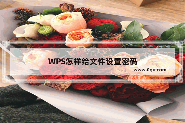 WPS怎样给文件设置密码