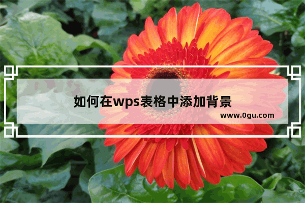 如何在wps表格中添加背景