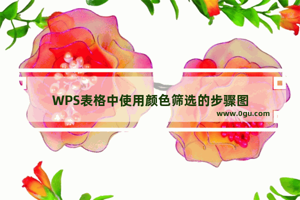 WPS表格中使用颜色筛选的步骤图