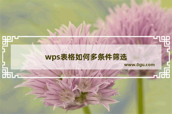 wps表格如何多条件筛选