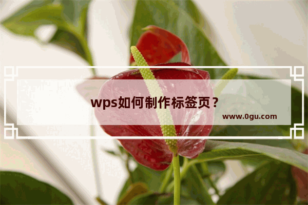 wps如何制作标签页？