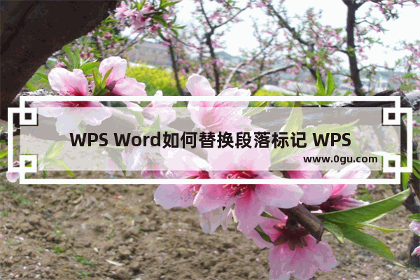 WPS Word如何替换段落标记 WPS Word中段落之间空白太多快速删除的方法