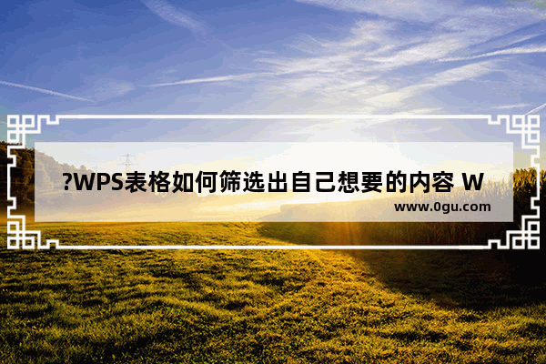 ?WPS表格如何筛选出自己想要的内容 WPS Excel添加筛选的方法教程