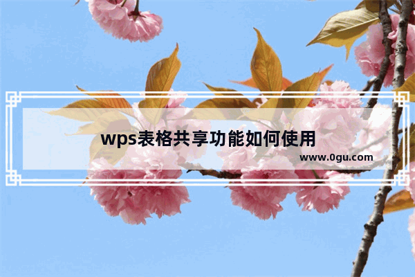 wps表格共享功能如何使用