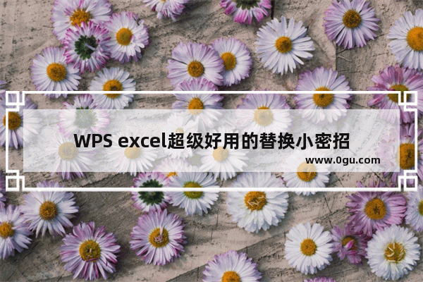 WPS excel超级好用的替换小密招