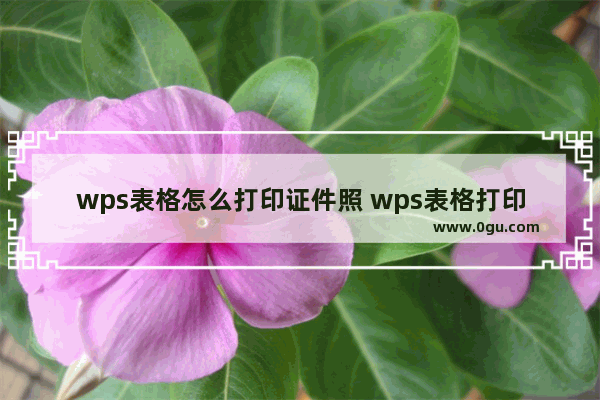 wps表格怎么打印证件照 wps表格打印证件照的方法