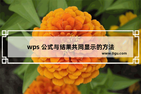 wps 公式与结果共同显示的方法