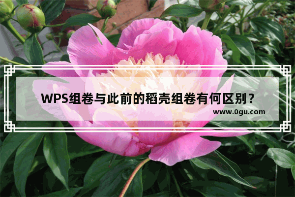 WPS组卷与此前的稻壳组卷有何区别？