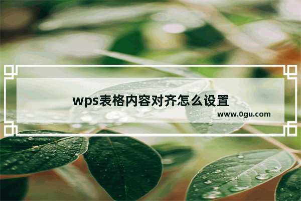 wps表格内容对齐怎么设置