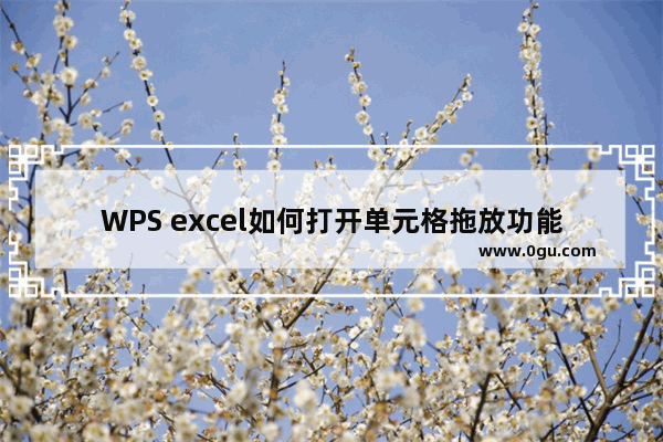 WPS excel如何打开单元格拖放功能