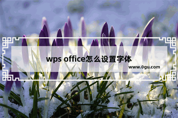 wps office怎么设置字体